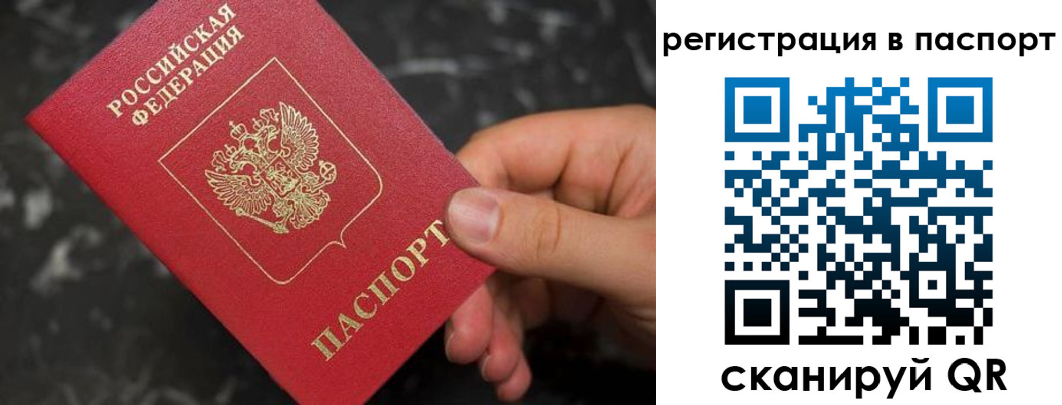 прописка для работы в Кингисеппе